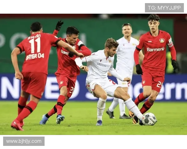 德甲球队霍芬海姆：发展历程与未来展望