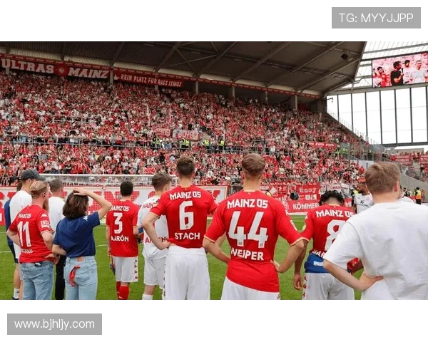 意甲BVB是哪支球队及其与德甲球队关系